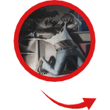 beast inside wolf red circle meme