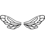 Bee wings in black