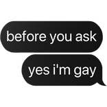 before you ask yes i'm gay text
