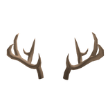 beige antlers