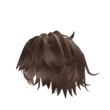 Big Fluffy Messy Brown Hair 