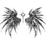 Big Monochrome Empyre Angel Wings