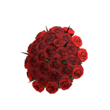 Big Red Roses Bouquet on Hand