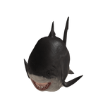 BIG Shark