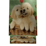 bigbeast pet but its on ur stomach and make it big