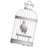 Bird Cage w Dove (front) - Silver