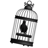 Bird Cage w Raven (front) - Black