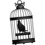 Bird Cage w Raven (waist) - Black