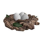 Bird's nest with eggs on the head