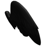 Black Alicorn Wings
