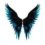 Black and Blue wings
