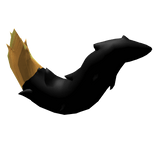 Black and golden tail