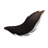 Black and orange tail