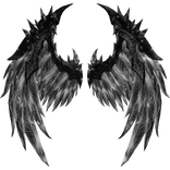 Black and White Angel Wings