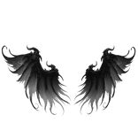Black & White Demon Wings