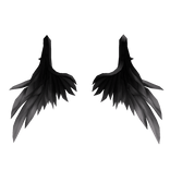 Black and White Gothic Wings