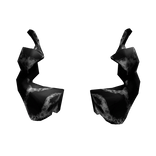 Black and White Horns of Onyx