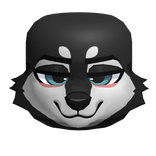 Black And White Husky Wolf