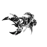 Black and white Koi tail