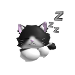 black and white lazy cat