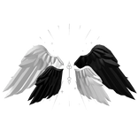 Black & White wing