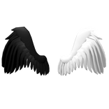 Black and White Wings