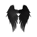 Black Angel Wing