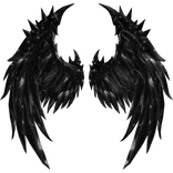 Black Angel Wings
