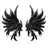 Black Angel Wings