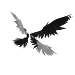 Black Angel  Wings