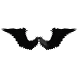Black Angel Wings