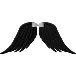 black angel wings