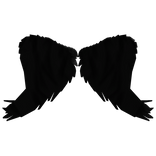 Black Angel Wings