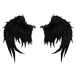 Black Angel Wings