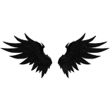 Black Angel Wings