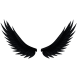 Black Angel Wings