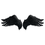 Black Angel Wings