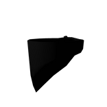 Black Bandit Mask