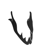 Black Blaster Jaw