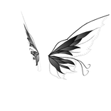 Black Butterfly Fairy Wings