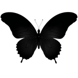Black Butterfly On Mouth