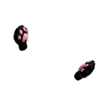 Black Cat Paw Gloves