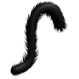 black cat tail