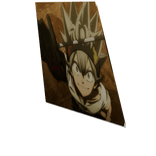 Black clover cape