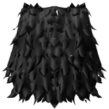 Black Coat