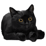 Black Cute Cat