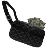 Black Designer Bag w Money Cash