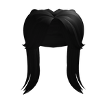 Black Double Ponytail