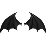 Black Dragon Wings