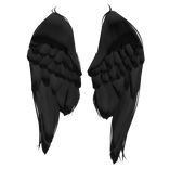 Black Fallen Angel Resting Wings